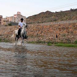 مجلس إدارة اتحاد البريد العالمي UPU يدشِّن شعارَ مؤتمر البريد الاستثنائي 2023