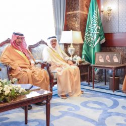 ” 68 فرصة استثمارية ” تتضمن ” كلية صحية وموقع لألعاب مغامرات “.. تطرحها أمانة الأحساء 