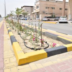 انقاذ حياة سبعيني بجراحة قلب مفتوح بأبها الخاص العالمي