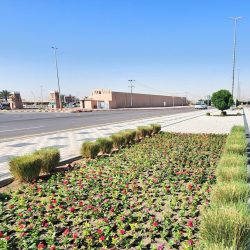 خادم الحرمين الشريفين يبعث دعوة للرئيس السوري للمشاركة في القمة العربية