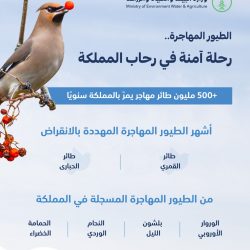 اتحاد الرياضة للجميع يُنظم معرض “إكسبو الرياضة للجميع” للياقة البدنية والصحة