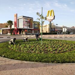 طلاب الشرقية يقفون على تجربة “الطائرات الورقية”بالتزامن مع تطبيقاتها في محطة الفضاء الدولية   