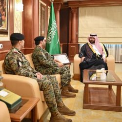 حرس الحدود بنجران يقبض على مخالف لمحاولته تهريب الحشيش