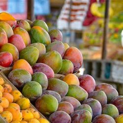 سمو الأمير سعود بن جلوي يستقبل مدير عام “وقاء” بمنطقة مكة المكرمة