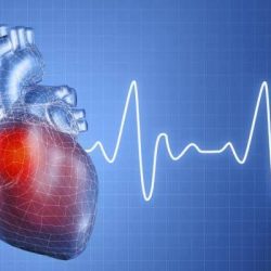 شهيدان برصاص قوات الاحتلال الإسرائيلي بالضفة الغربية