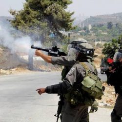 26 فرصة استثمارية تطرحها بلدية محافظة العقيق