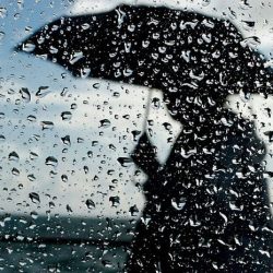 مروّجو مواد مخدّرة وقيادة بتهور.. مرتكبو عدد من الجرائم في قبضة رجال الأمن