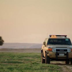 مهرجان المانجو الثاني عشر ينطلق في 19 شوال بمحافظة القنفذة