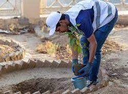 الزكاة والضريبة والجمارك تتيح خيار احتساب ضريبة القيمة المضافة على هامش ربح بيع “السيارات المستعملة المؤهلة”