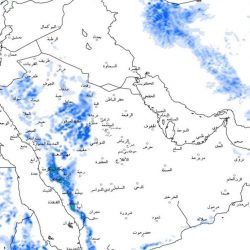 حملات نجران الرقابية تتواصل.. إتلاف 350 كجم أغذية فاسدة ودعوة للإبلاغ
