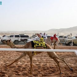 سياحة وترفيه / اختتام فعاليات مهرجان الحنطة بمركز الفوارة