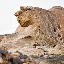 الفضلي: التعاون بين المملكة والصين يسهم في تحقيق الأمن الغذائي محليًا وعالميًا