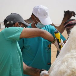 سمو وزير الرياضة يلتقي بوفد المملكة المشارك في الألعاب العالمية للأولمبياد الخاص ببرلين