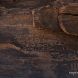 خلال أسبوع .. ضبط 11614 مخالفًا لأنظمة الإقامة والعمل وأمن الحدود