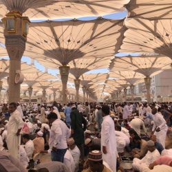 المملكة وفرنسا.. علاقات متطورة وشراكة إستراتيجية