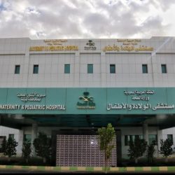 جمرك الحديثة يُحبط محاولتي تهريب أكثر من 450 ألف حبة كبتاجون