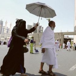 حتى الخميس.. المدينة المنورة تستقبل أكثر من661 ألف حاج