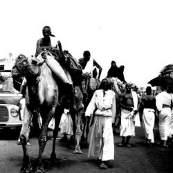 كثافة في أسواق جازان لتأمين مستلزمات عيد الأضحى المبارك