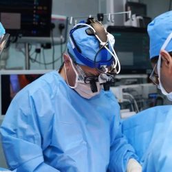 البيئة: وصول أكثر من مليوني رأس من الماشية إلى ميناء جدة الإسلامي خلال موسم الحج