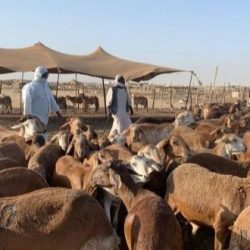 “الجوازات” تعلن عن قدوم (1,626,500) حاج من خارج المملكة عبر المنافذ الدولية حتى نهاية يوم الجمعة