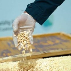 برعاية المملكة و الولايات المتحدة : وقف إطلاق نار في كافة أنحاء السودان لمدة 24 ساعة اعتباراً من الساعة السادسة من صباح يوم غد