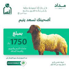 حج / الإدارة النسائية برئاسة المسجد النبوي تواصل تقديم خدماتها لضيفات الرحمن