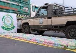 حج / شؤون الحرمين تطلق مبادرة “حفاوة”