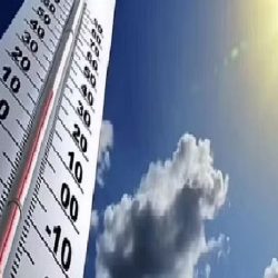 صحة الرياض تفعل حملة صيفك ضيفك في المنافذ الجوية