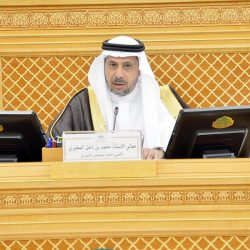 ما هي المحاور الرئيسية للتشغيل لدى البرنامج الوطني للتشغيل 