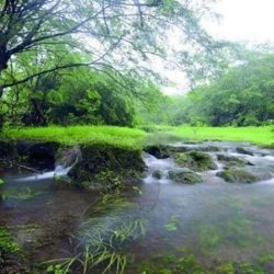 *أسرة بوحليقة بالمنطقة الشرقية تحتفل بأبنائها المتفوقين و المتفوقات * 