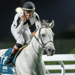 أمير الشرقية يستقبل أعضاء مجلس إدارة غرفة حفر الباطن