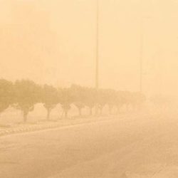 سياحة وترفية / “هيئة الترفيه” تحصل على شهادة الالتزام بالمعايير الدولية للممارسات المهنية للمراجعة الداخلية بأعلى تصنيف