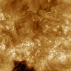 أمير الشرقية يستقبل أعضاء نادي الخليج الرياضي