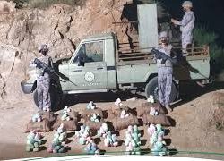 إدارة التحريات والبحث الجنائي بمنطقة جازان تقبض على (4) أشخاص لترويجهم المخدرات