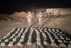 أكثر من 580 ألف حاج يصلون إلى المدينة المنورة