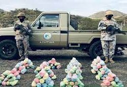 مكافحة المخدرات تقبض على شخص بمحافظة المخواة لترويجه مادة الإمفيتامين المخدر