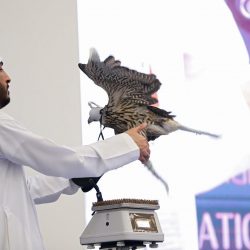 برنامج تطوير وزارة الداخلية ينفذ ورشة عمل تعريفية لمنسوبي قطاعات الوزارة بجازان