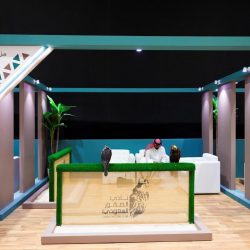 30 فرقة ميدانية من “الحياة الفطرية” تباشر معالجة تزايد أعداد قرود البابون