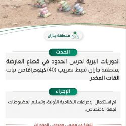 #حرس_الحدود بمنطقة عسير يقبض على (3) مخالفين لنظام أمن الحدود لتهريبهم (50) كيلوجرامًا من مادة الحشيش المخدر