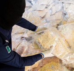 وزير الشؤون البلدية والقروية والإسكان يبدأ زيارة رسمية إلى الصين