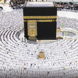 حرس الحدود بنجران يحبط تهريب (15) كيلوجرامًا من مادة الحشيش المخدر