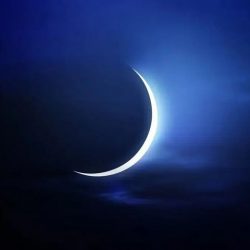 هيئة الزكاة والضريبة والجمارك تنضم إلى نخبة عالمية في التميز المؤسسي بحصد شهادة الاعتراف بالتميز بفئة 5 نجوم من المنظمة الأوروبية لإدارة الجودة