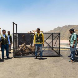 “سدايا” ووزارة التعليم تتيحان التسجيل في برنامج مبرمجي ذكاء المستقبل لتدريب 5 آلاف طالب وطالبة بمرحلتي المتوسطة والثانوية