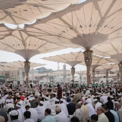 هيئة الزكاة والضريبة والجمارك تُحبط محاولة تهريب 143 ألف حبة “كبتاجون” مخبأة في إحدى الشاحنات