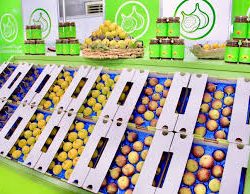 وزير النقل والخدمات اللوجستية يزور المديرية العامة للطرق الوطنية والطرق السريعة في جمهورية بولندا