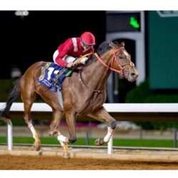 أطفال عسير ذوي الإعاقة يحتفلون باليوم الوطني ال93