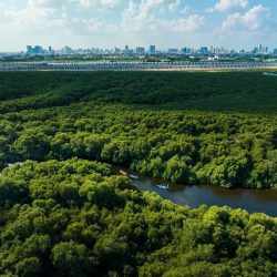 41 أسرة منتجة بجمعية البر بالشرقية تشارك بمنتجاتها الوطنية في صنعتي 2023