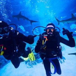 ٣٨ عامًا مباركة