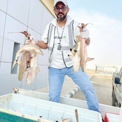 بمشاركة جهات الأختصاص ردم آبار مكشوفة في الليث