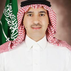 مهرجان شبابيك الأول مبادرة ثقافيه عالمية لفن يحكي الهجرة في مدينة ديتمولد الالمانية 